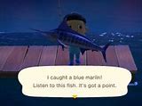 Image result for Funny Fishing Quotes