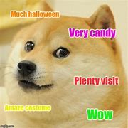 Image result for Doge Meme Costume