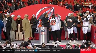 Image result for Bengals AFC Champs