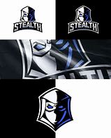 Image result for Stealth Gaming Logo