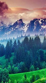 Image result for Nature iPhone 5s Wallpaper