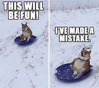 Image result for Snow Dog Meme