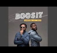 Image result for boosista