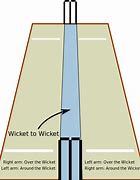 Image result for Cricket Pest