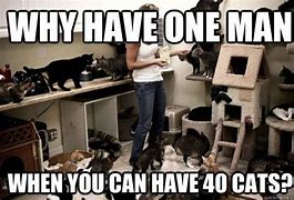 Image result for Cat Lady Funny Quotes