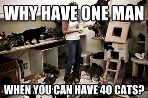 Image result for Lonely Cat Lady Meme