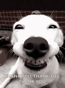 Image result for Thank You GIF for Presentation Dogs