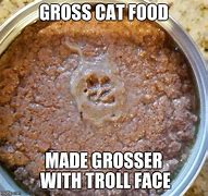 Image result for Gross Cat Meme