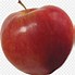 Image result for Old Apple Without Background