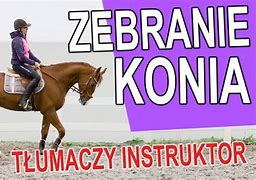 Image result for co_to_za_zebranie_konia