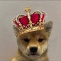 Image result for Cool Dog PFP 1080X1080