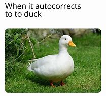 Image result for Duck AutoCorrect Meme