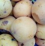 Image result for Smallest Fruit in the World