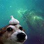 Image result for Aesthetic Galaxy Puppy