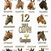 Image result for Horse Racing Three Crown