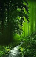 Image result for HD Wallpaper for Natur Full Screen