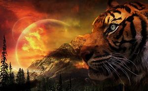 Image result for Year of the Tiger Desktop Wallpaper