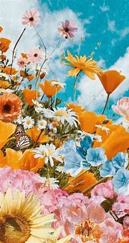 Image result for Cute Flower iPhone Wallpapers