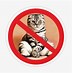 Image result for No Cats Allowed Meme