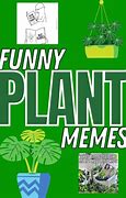 Image result for Indoor Plant Meme