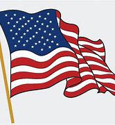 Image result for American Flag Company Logo