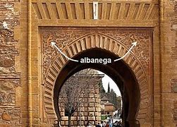 Image result for albanega
