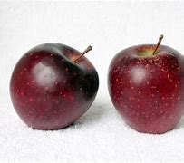 Image result for Darkest Red Apple