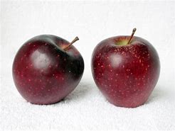 Image result for Red Delicious Apple Fruit Picture