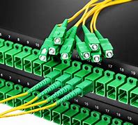 Image result for Straight Connector Fiber