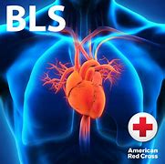 Image result for American BLS CPR