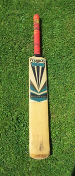 Image result for Fearnley Cricket Bat