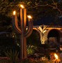 Image result for Outdoor Cactus Lights