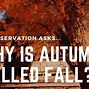 Image result for Fall Vs. Autumn