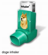 Image result for Inhale Doge Meme