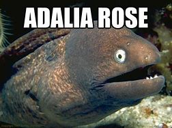 Image result for Adalia Rose Memes