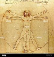 Image result for Da Vinci's Man
