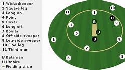 Image result for Cricket Field Setting