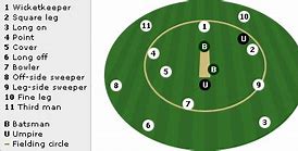 Image result for Cricket Field Setting