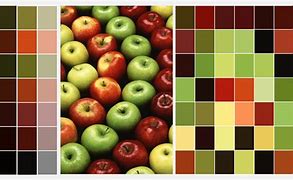 Image result for Apple Tree Color Palette