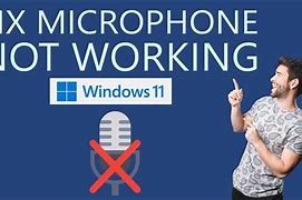 Image result for Hroeenoi Microphone Not Working