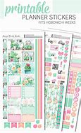 Image result for Hobonichi Cactus Case