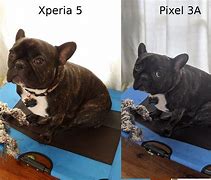 Image result for Sony Xperia 5 Sverige