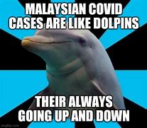 Image result for Dolphin Virus Meme