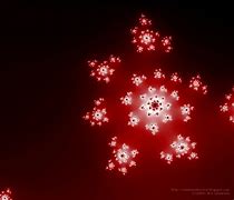 Image result for Wallpaper Red Flower iPad