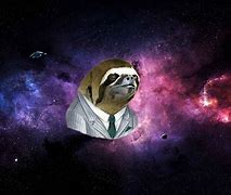 Image result for Sloth Ruling the Universe Meme
