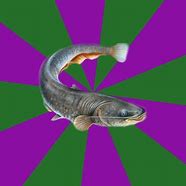 Image result for Dead Fish Même