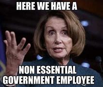 Image result for Pelosi Funny Batshit Crazy Memes