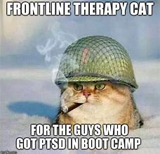 Image result for PTSD Soldier Cat Meme