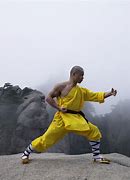 Image result for Martial Arts Male Fighting Poses