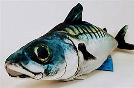 Image result for Edible Fishes